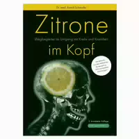 Zitrone Im Kopf 1 St