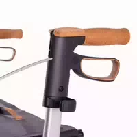 Saljol Stockhalter für Saljol Rollator