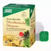 Salus Bio Marokkanische Minzoase – Kräuterteemischung