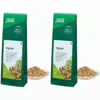 Salus Ingwer Gewürztee