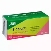 Floradix Eisen 100 mg Forte – Filmtabletten 20 st
