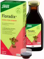 Floradix Eisen für Kinder Tonikum 250 ml Tonikum