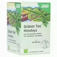 Grüner Tee Himalaya Bio Salus Filterbeut 15 st