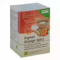 Salus Ingwer Orange Spicy Tee 15 St Filterbeutel