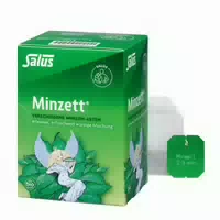Minzett Kräutertee Bio Salus Filterbeutel 15 st Filterbeutel