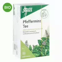 Pfefferminz Tee Menthae Piperitae Folium Bio Salus