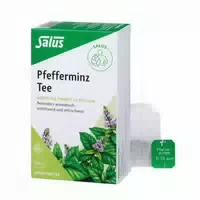 Pfefferminz Tee Menthae Piperitae Folium Bio Salus