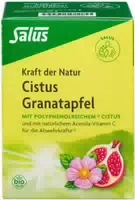 Salus Cistus Granatapfel – Bio Kräutertee für Genussvolle Moment