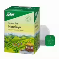 Salus Grüner Tee Himalaya Bio 15 St Filterbeutel