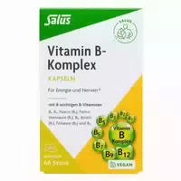 Salus Vitamin B Komplex Kapseln 60 St Kapseln