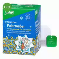 Salus Polarzauber Früchte Gewürztee Bio Filterbeutel