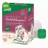 Salus Rückbildungstee 15 St Filterbeutel
