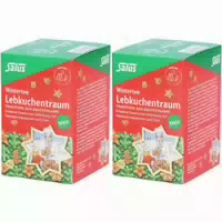 Salus Wintertee Lebkuchentraum
