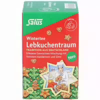 Salus Wintertee Lebkuchentraum