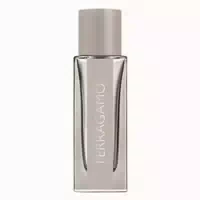 Salvatore Ferragamo Ferragamo Bright Leather Eau De Toilette 30ml 0,3 L
