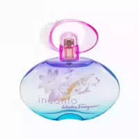 Salvatore Ferragamo Ferragamo Eau De Toilette 100ml 0,1 l