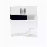 S Ferragamo F Pour Homme Edt Spray 100ml 0,1 L