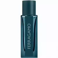 Salvatore Ferragamo Ferragamo Intense Leather Edp Nat Spray