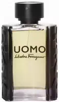 Salvatore Ferragamo Ferragamo Uomo Eau De Toilette 100 ml