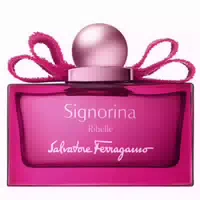 Salvatore Ferragamo Donna Signorina Ribelle Eau De Parfum Spray 3 4 Oz