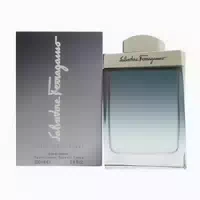 Salvatore Ferragamo Subtil Pour Homme Eau De Toilette 100ml Spray 0,1 l