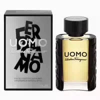 Salvatore Ferragamo Ferragamo Uomo Eau De Toilette 100 ml