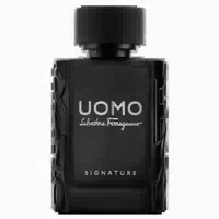 Uomo Signature E D P Nat Spray
