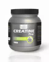 Sanaexpert Creatine Pro – Con Creatina Monoidrato, Polvere Di Creatina Pura Al 100%
