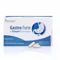 Sanaexpert Gastro Forte – Mit 200 Mg Pylopass, Zink, Ulmen Extrakt Und Flohsamenschalen