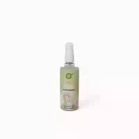 Sanoll Biokosmetik Frisierspray 100 ml 100 ml