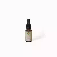 Sanoll Biokosmetik Haaröl 20 ml 20 ml