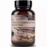 Sanos Trametes Robiniophila Huaier Murr Pilzextrakt