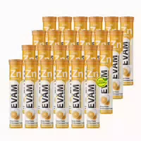Eväm Zink Vitamin C Brausetabletten 24er Pack