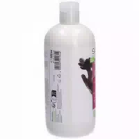Sante Naturkosmetik Glossy Shine Shampoo Birke