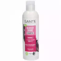 Sante Glossy Shine Shampoo Birkenblatt