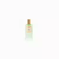 Saphir My Future Pour Femme Edp 50ml 0,05 L