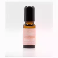 Dhiw Buzz Off 2 Stich Insektenstiche Roll On 10 Ml