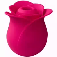 Satisfyer Pro 2 Modern Blossom Klitorisstimulator