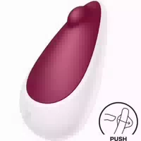 Satisfyer Spot On Vibrator