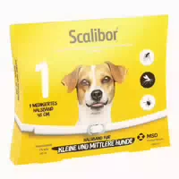 Scalibor Protectorband 65 Cm Veterinã¤r
