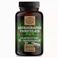 Scheunengut Andrographis Paniculata | Hochdosiert 10:1 120 St