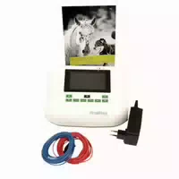 Schwa Medico Amplimove Animal Mittelfrequenztherapie