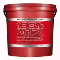 Scitec 100% Whey Professional