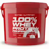 100% Whey Protein Professional 5000g Erdbeere
