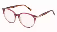 Scotch & Soda 3026 1er Packung