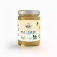 The Seamoss Jungle Sea Moss Gel Ananas 500 ml