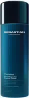 Sebastian Twisted Conditioner 250 ml