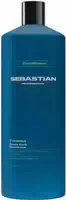 Sebastian Twisted Conditioner