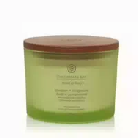 Chesapeake Bay Candle – Awaken & Invigorate – 3 Docht Duftkerze