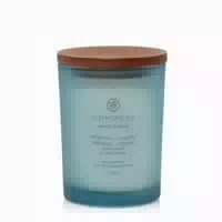 Chesapeake Bay Candle – Reflection & Clarity – Medium